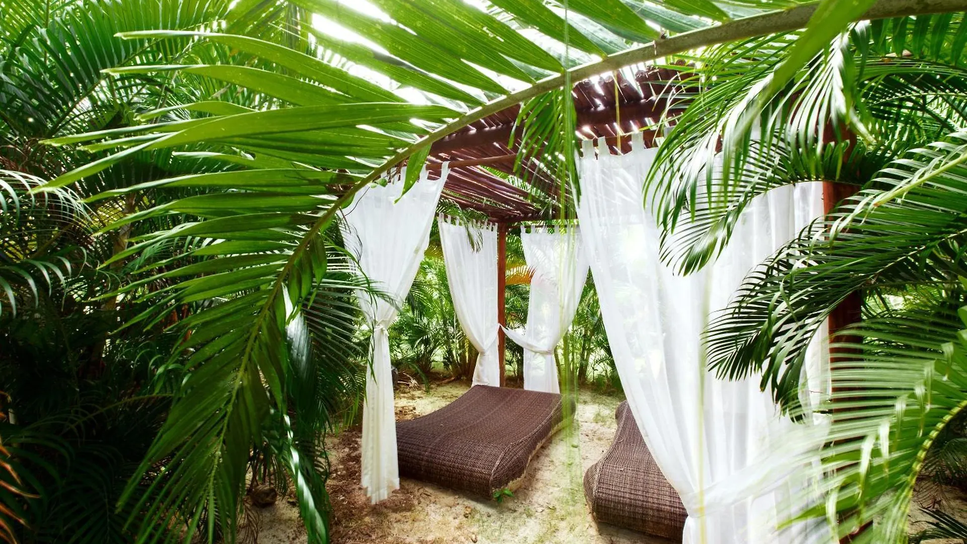 Hotel Tropicana Suites Deluxe Beach Club And Pool - Playa Los Corales Punta Cana